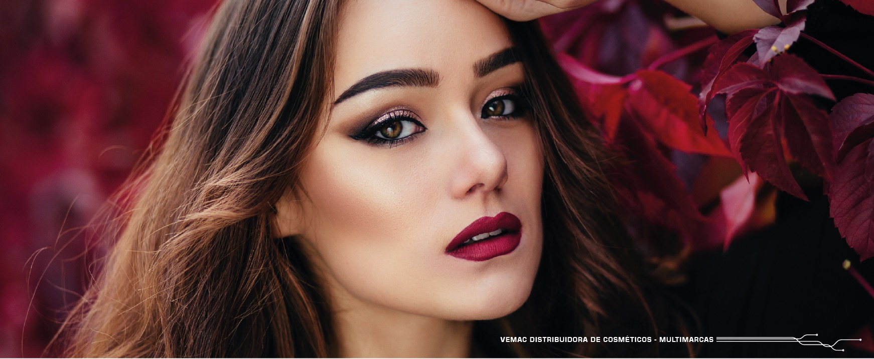 Distribuidora de Cosmeticos